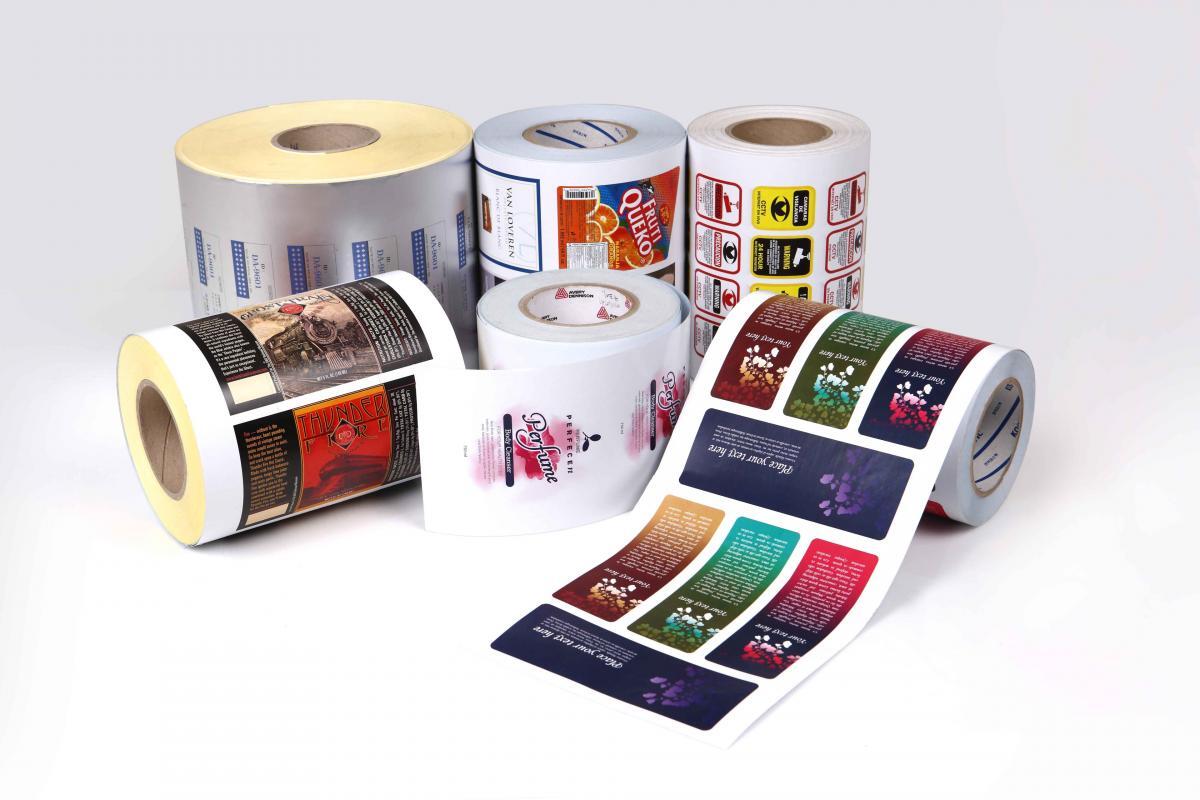 trifold brochure flyer by Fresh Prints